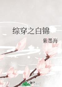 綜穿之白錦