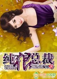 純狼，總裁！