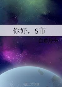 你好，S市