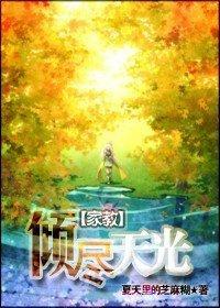 傾盡天光
