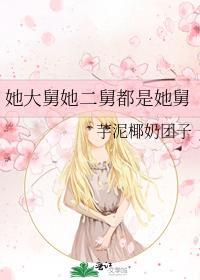 她大舅她二舅都是她舅