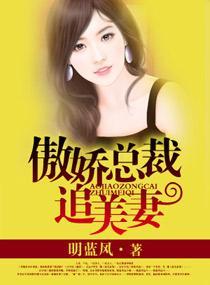 傲嬌總裁追美妻
