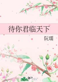 待你君臨天下
