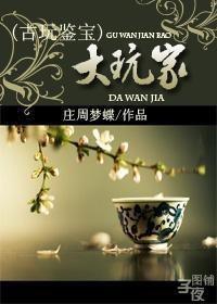 大玩家