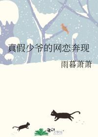 真假少爺的網戀奔現