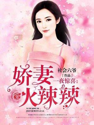 一夜驚喜：嬌妻火辣辣