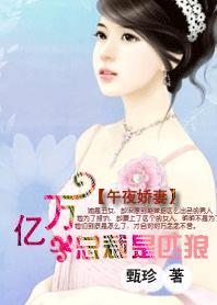 午夜嬌妻：億萬老公是匹狼