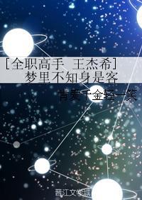 [全職高手 王傑希]夢裏不知身是客