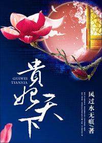 貴妃天下（重生）