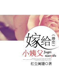 嫁給小姨父（婚戀）