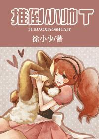 推倒小帥T