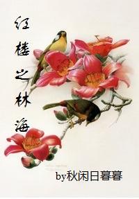 紅樓之林海