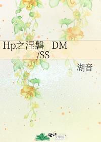 Hp之涅磐 DMSS