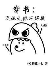 穿書：反派大佬不好撩