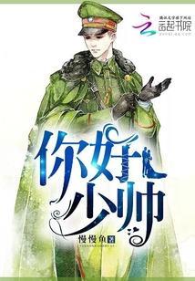 你好，少帥！