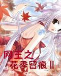 網王之花季留痕Ⅱ