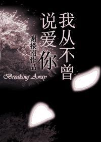 我從不曾說愛你