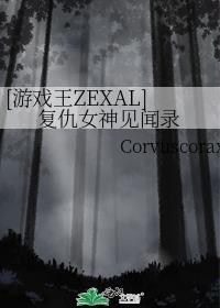 [游戲王ZEXAL]複仇女神見聞錄