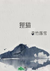 貍貓