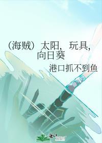 （海賊）太陽，玩具，向日葵