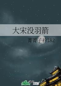 大宋沒羽箭
