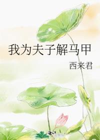 我為夫子解馬甲