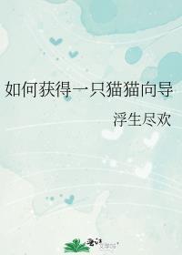 如何獲得一只貓貓向導