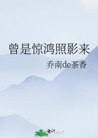 曾是驚鴻照影來