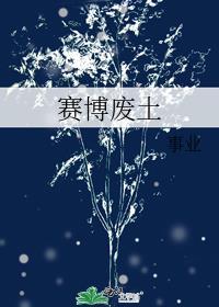 賽博廢土