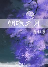 朝暾夕月