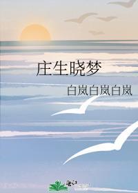 莊生曉夢