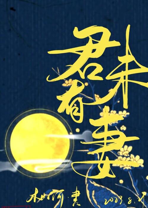 君未有妻
