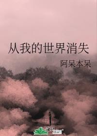 從我的世界消失