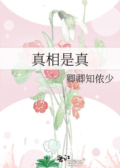 真相是真