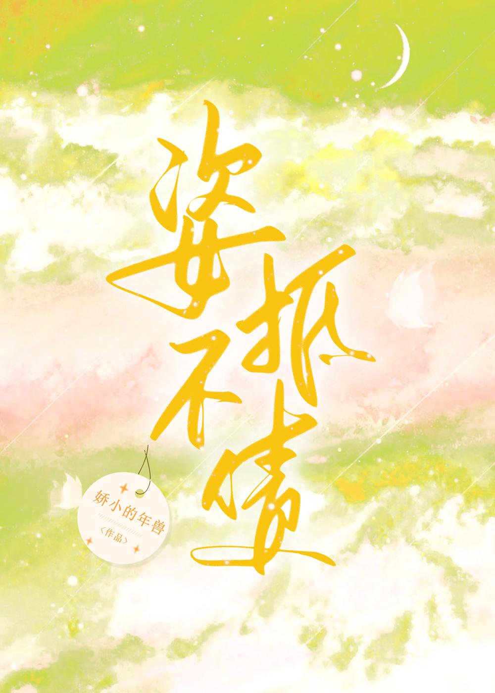 姿不抵債