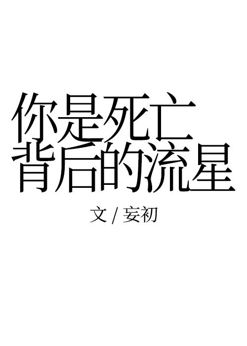 你是死亡背後的流星