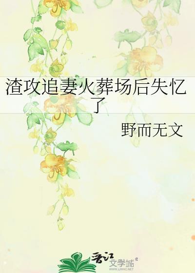 渣攻追妻火葬場後失憶了