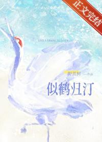 似鶴歸汀