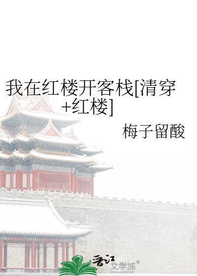 我在紅樓開客棧[清穿+紅樓]