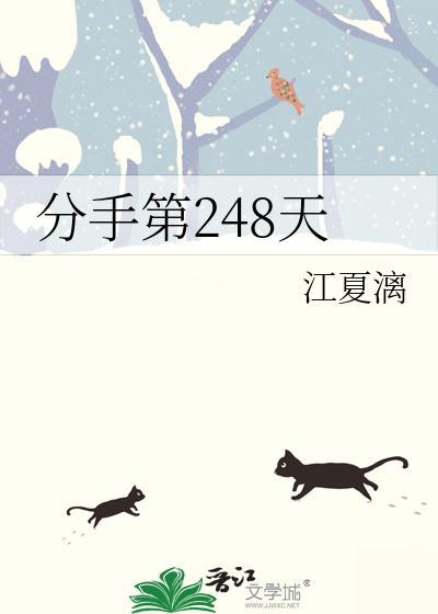 分手第248天