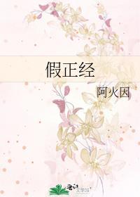 假正經