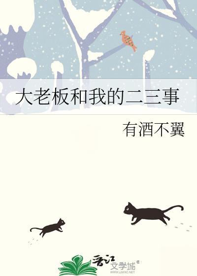 大老板和我的二三事