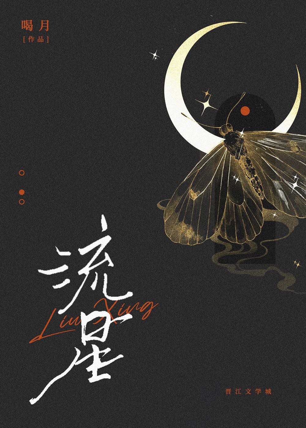 流星
