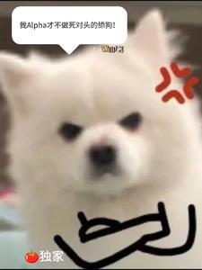 我Alpha才不做死對頭的舔狗