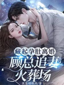 藏起孕肚離婚，顧總追妻火葬場