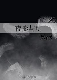 夜影與明