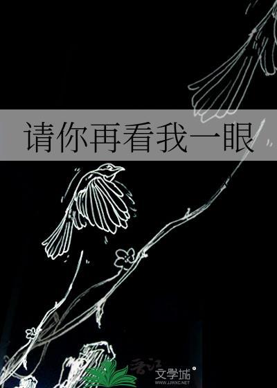 請你再看我一眼