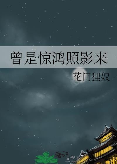曾是驚鴻照影來