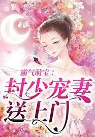 霸氣萌寶：封少寵妻送上門