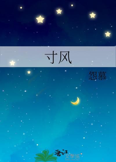 寸風